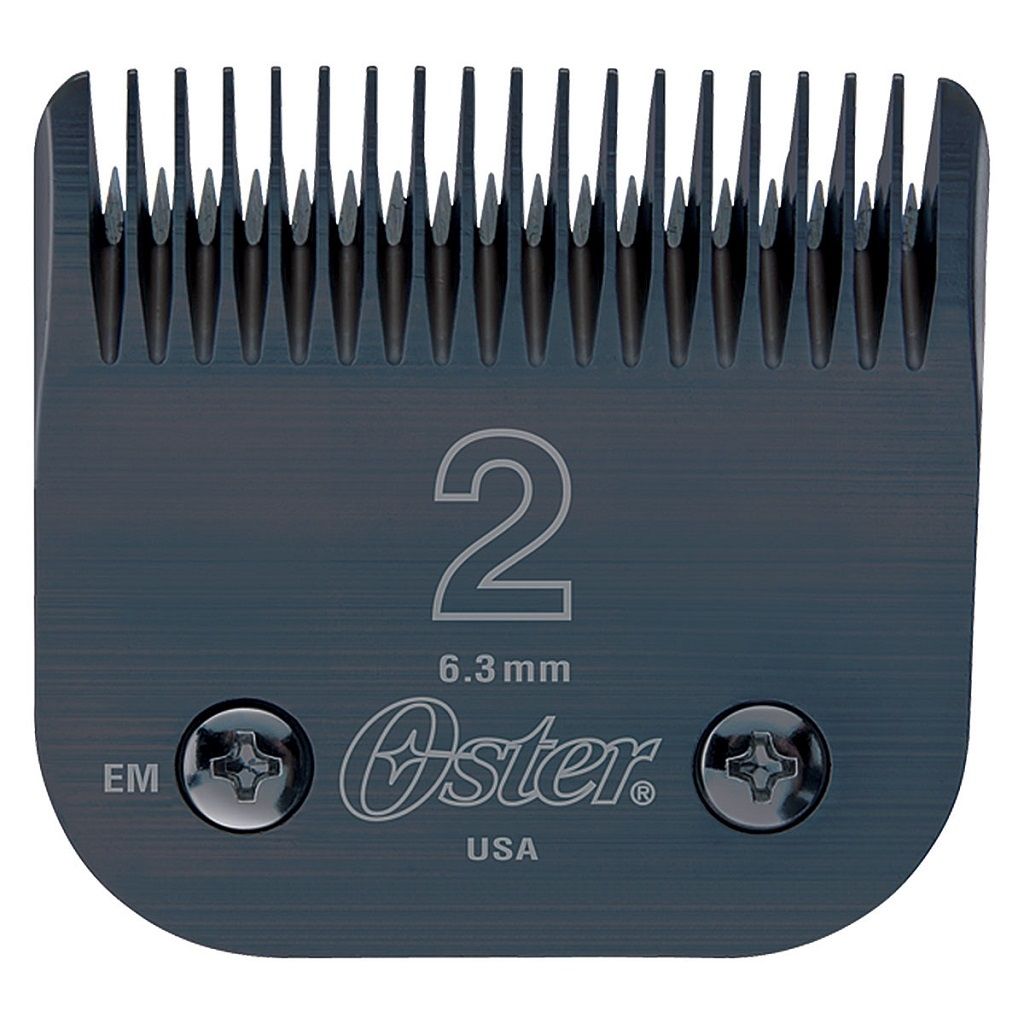Oster Detachable 2 Blade
